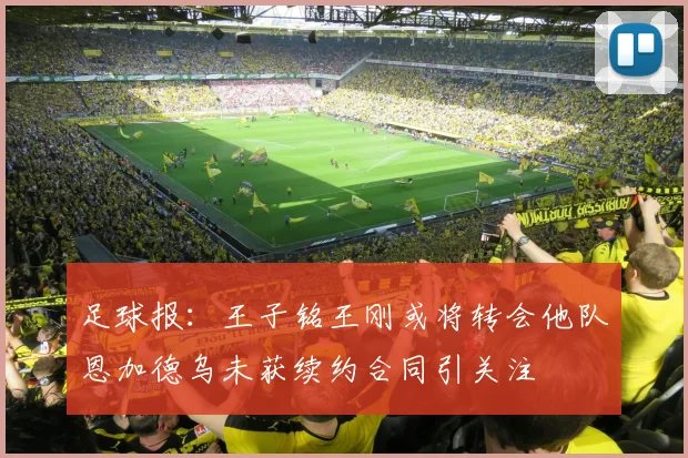 足球报：王子铭王刚或将转会他队恩加德乌未获续约合同引关注
